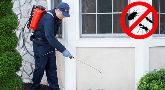 Zara Akrep İlaçlama böcek ilaçlama ve haşere kontrolü — ilaclama-tr.com